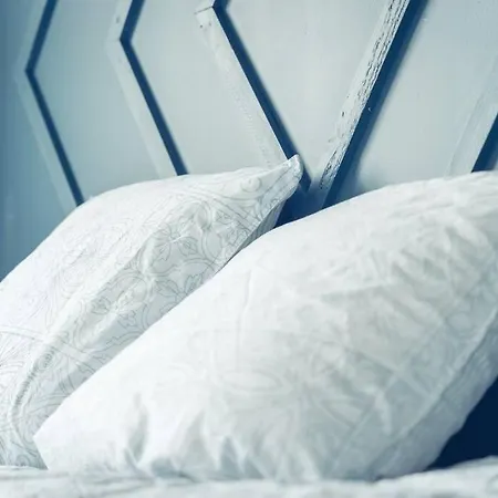 Le Rose - Centre - Wifi 아파트